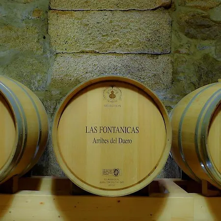 La Casa Del Vino Fermoselle