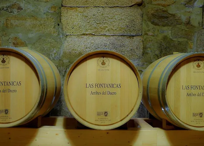 La Casa Del Vino Fermoselle